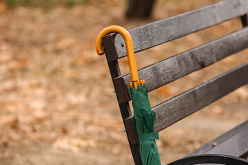 Stylish bright umbrella hanging on bench in autumn park, closeup
