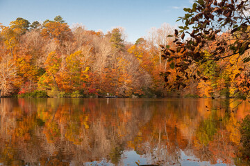 autumn in the lake