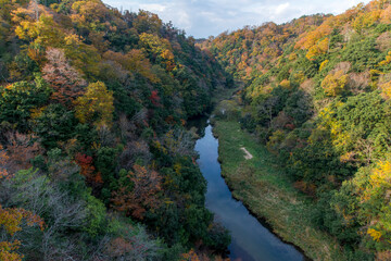 紅葉シーズンの鬼の舌震（島根県）