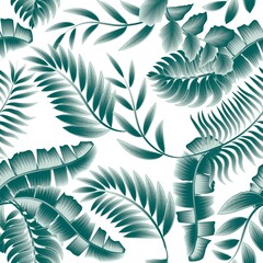 green abstract rainforest plants leaves seamles pattern in monochromatic color stylish on white background. Exotic tropics. Exotic design and ornament. Beach summer trendy illustration. wallpaper