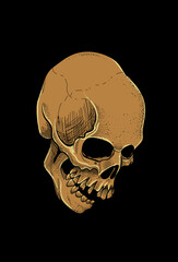 Skull artwork style engraving illustration