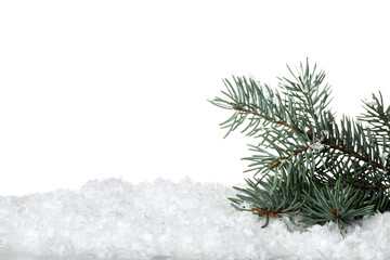 Fir branch on snow against white background