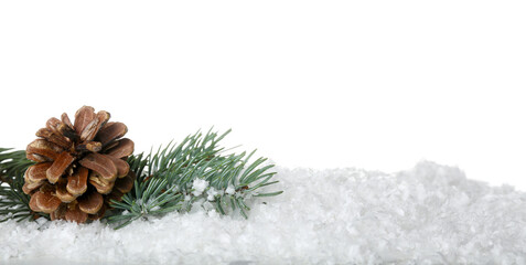 Fototapeta na wymiar Fir branch and cone on snow against white background