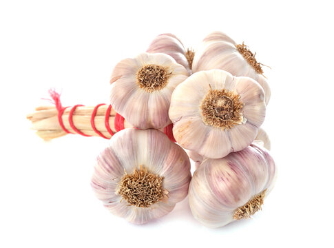 bunch of garlic