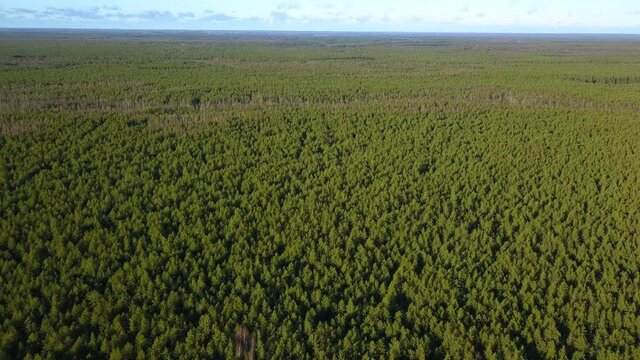 Flying over the boundless Siberian taiga that stretches beyond the Urals