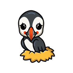 Cute little puffin bird cartoon in nest