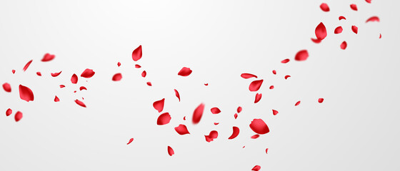 Red rose petals will fall on abstract floral background with gorgeous rose petal greeting card design. - obrazy, fototapety, plakaty