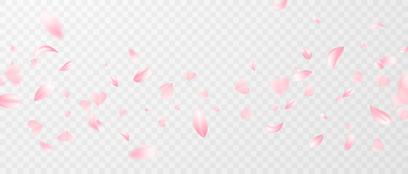 Pink rose petals and pink hearts will fall on abstract floral background with gorgeous rose petal greeting card design.