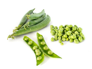 peas in studio