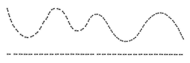 Ants marching in trail searching food. Ant path isolated in white background. Vector illustration