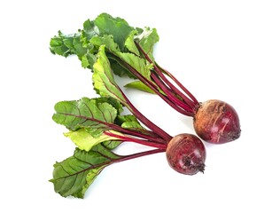 beetroot in studio