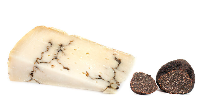 Truffle Cheese In Studio