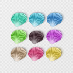 Colorful sea shells silhouettes set on white background. Vector illustration