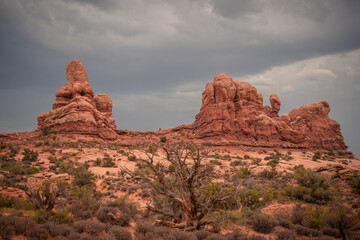Fototapeta na wymiar Beautiful View of Red Rocks and storm clouds in the sky in the foreground a dead tree, Arches National Park, Utah, USA