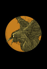 Crow bird artwork illustration hand drawing