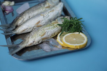Milkfishes photography for business and presentation
