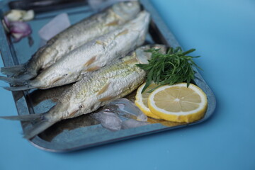 Milkfishes photography for business and presentation