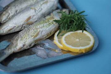 Milkfishes photography for business and presentation