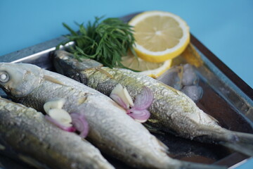 Milkfishes photography for business and presentation