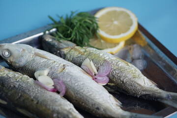 Milkfishes photography for business and presentation