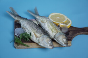 Milkfishes photography for business and presentation