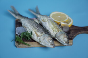 Milkfishes photography for business and presentation
