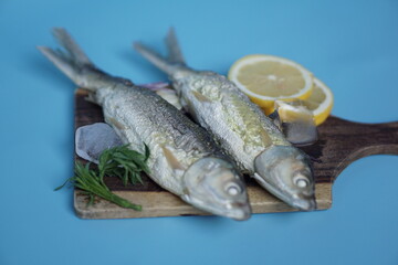 Milkfishes photography for business and presentation