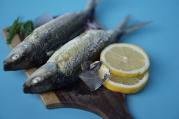 Milkfishes photography for business and presentation