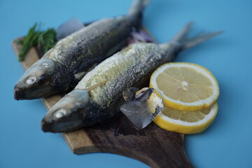 Milkfishes photography for business and presentation