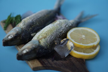 Milkfishes photography for business and presentation materials