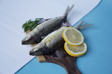 Milkfishes photography for business and presentation materials