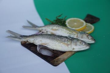 Milkfishes photography for business and presentation materials