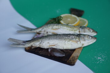 Milkfishes photography for business and presentation materials