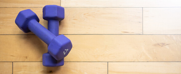 Two small purple dumbbells laying on a hardwood floor inside a gym 
