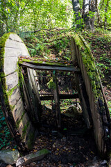 Old rotten coil covered with green moss in a ravine