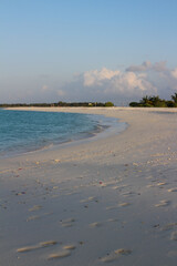 Obraz premium Indian Ocean coastline with palm trees, white sand and azure waters in the Maldives.