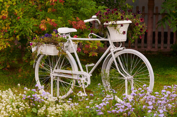 Fototapeta na wymiar A white antique bicycle decorated with fresh flowers stands next to a red rowan bush. Beginning of autumn.
