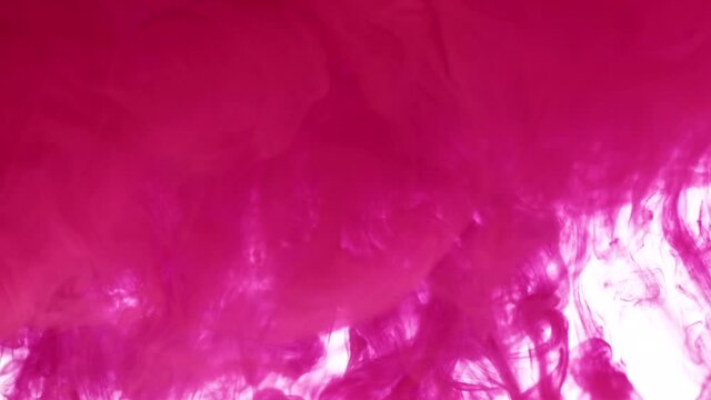Large cloud of fuchsia color paint covers space in clear liquid as decorative abstract background slow motion extreme close view
