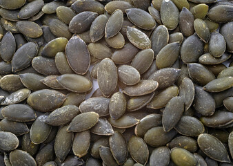 marrow seed in studio
