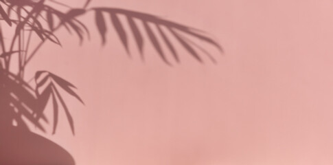 Fototapeta na wymiar Aesthetic shadow of the palm leaves on a pastel pink background. Background for advertising your product. Creative copy space for your design. Abstract texture. Banner