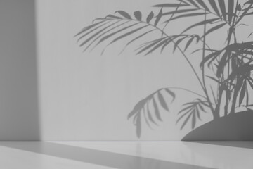 Minimal abstract background for the presentation of a cosmetic product. Premium podium with a shadow of tropical palm leaves on a gray background. Showcase, display case.