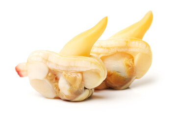 Razor clams isolated on white background.