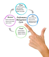 Components of Performance Management Cycle.