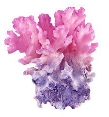 coral isolated on white background © Dmitry