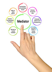 Presenting Seven functions of mediator