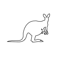 kangaroo