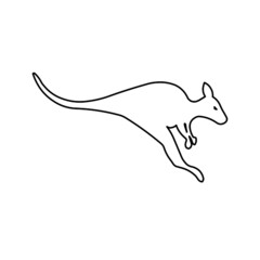 kangaroo