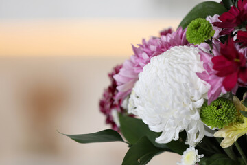Bouquet of beautiful chrysanthemum flowers on blurred background, closeup. Space for text