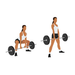 Woman doing Sumo Barbell deadlifts exercise. Flat vector illustration isolated on white background - obrazy, fototapety, plakaty