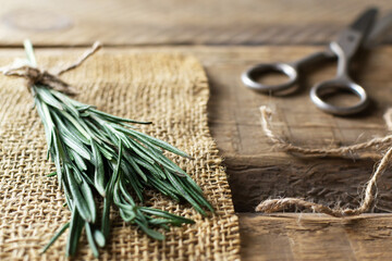 A bunch of fresh rosemary tied with jute cord on a burlap napkin with old scissors on a wooden table. Rustic style. Ultra urban farming. Indoor Gardering. Selective focus.